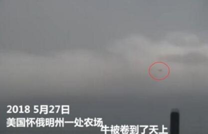 真的“吹牛吹上天”了！實拍農場遭龍卷風襲擊牛被吹上天【視頻】