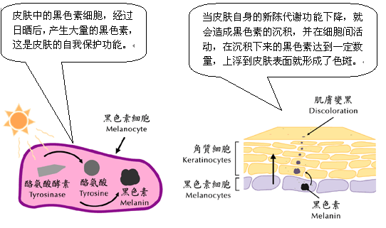 科顏家科技凈白：搞定黑色素，夏天防曬只需兩步