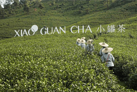 小罐茶再立茶行業(yè)傳播新標(biāo)桿：用時尚跨界詮釋茶品牌