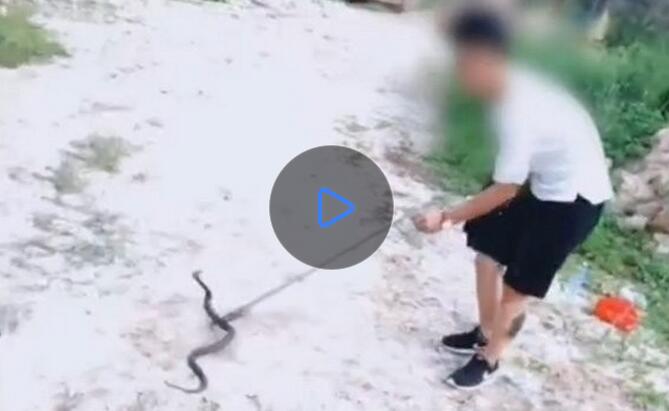 用生命在直播！19歲網紅玩毒蛇被毒液射中眼睛 送醫遇堵車還不忘 開直播
