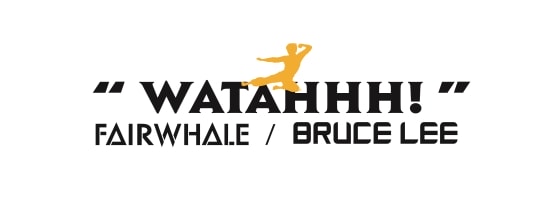 潮流致敬功夫美學|馬克華菲Fairwhale男裝 X BRUCE LEE潮流跨界