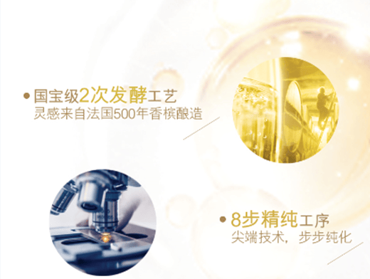 香檳酵母的奧秘丨解救熬夜黨的福利【圖】