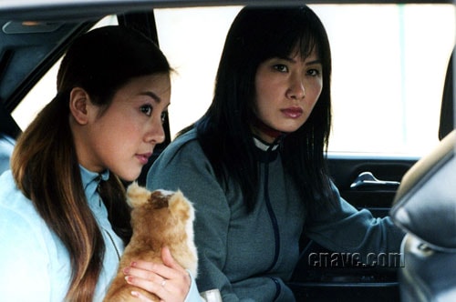 http://www.fjsenfa.cn/pics/default/download/00d153bf5ce34e5206956d5d95cbde8a.jpg
