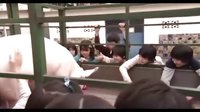 小豬教室