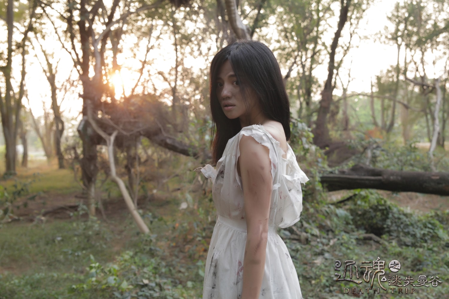 http://www.fjsenfa.cn/pics/default/download/01c732359cb488d4eba052cb487234c1.jpg