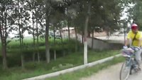 隨風奔跑，自由是方向！