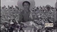 “那時光影”國產經典《戰洪圖》插曲“辛苦奪得豐收年”