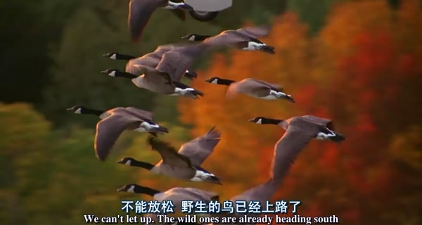 http://www.fjsenfa.cn/pics/default/download/04e3f104845a2163796ed64c3f70522f.jpg