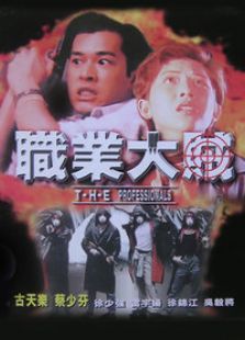 職業(yè)大賊
