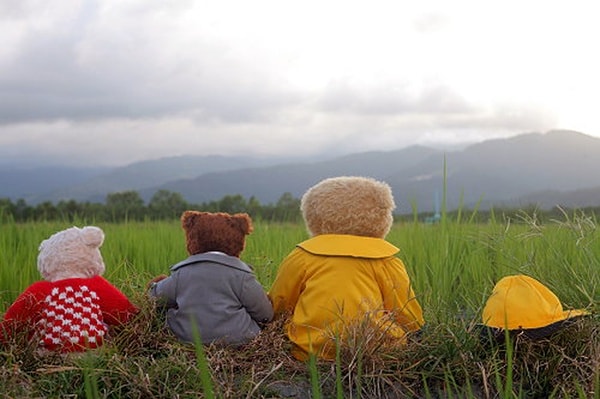 http://www.fjsenfa.cn/pics/default/download/06681b34840485cdc1a1392eb0a86d68.jpg