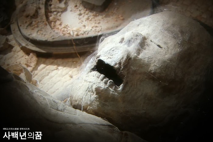 http://www.fjsenfa.cn/pics/default/download/071d6d9668e882dee7eb75fe9f1fe493.jpg