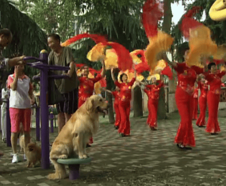 http://www.fjsenfa.cn/pics/default/download/079643ac984c965e6748d1ae262f472a.jpg
