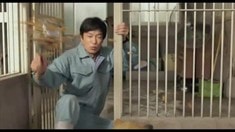 預告片