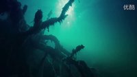 《食人魚3DD》高清預告 Piranha 3DD-HDtrailer