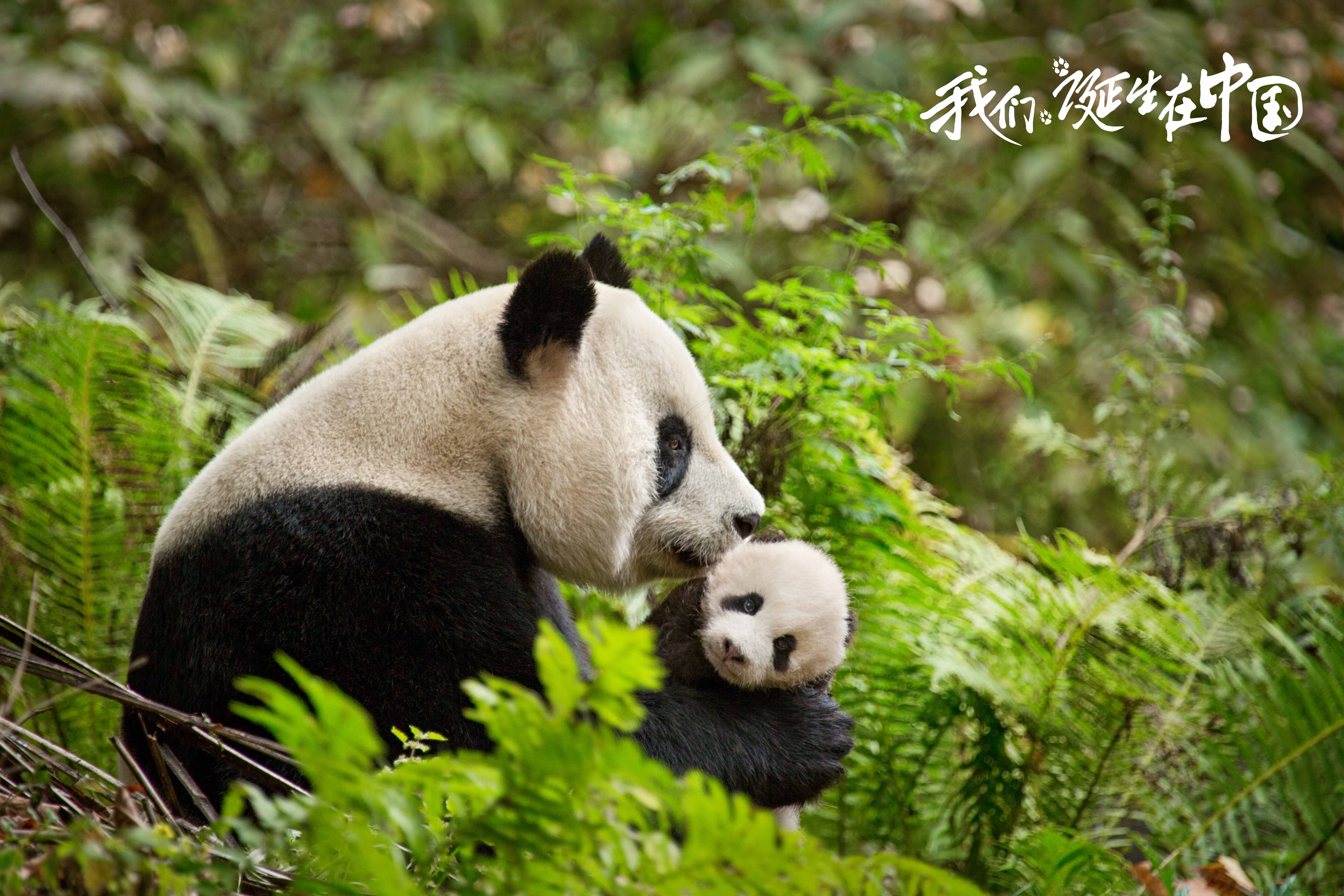 http://www.fjsenfa.cn/pics/default/download/084ae901d8a6b4f53b551f508f069f81.jpg