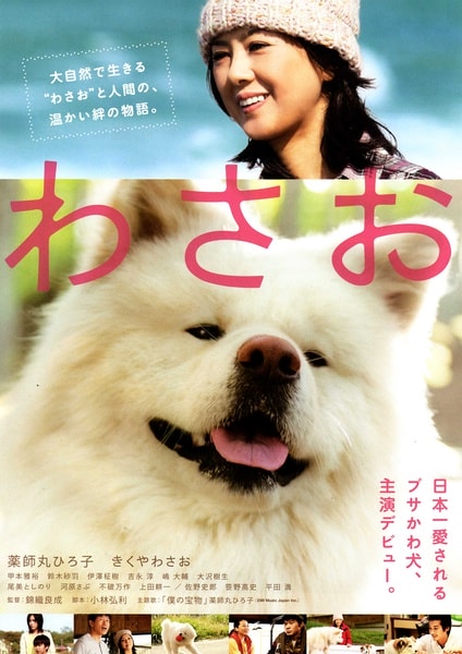 http://www.fjsenfa.cn/pics/default/download/08afd17013fd51ed3c98ba8158366e88.jpg