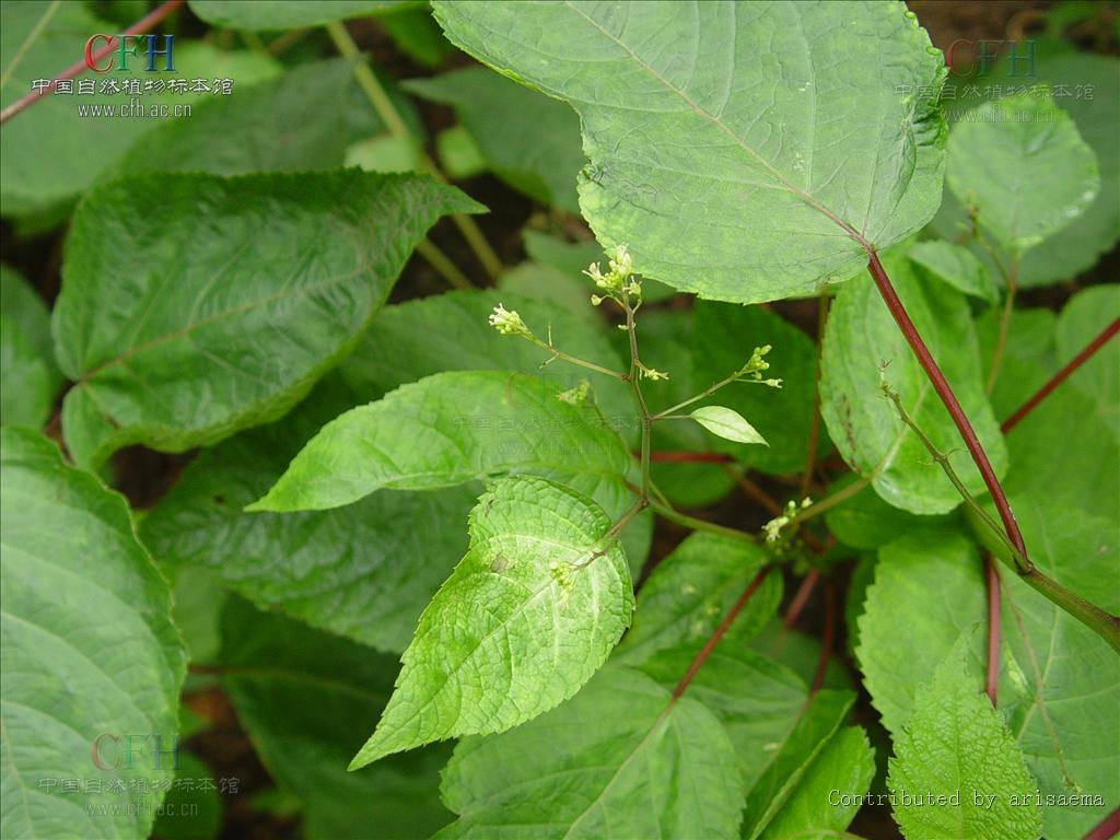 http://www.fjsenfa.cn/pics/default/download/08d6c7a66737f0081cba7e5d2e264399.jpg