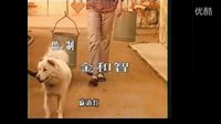 [懷舊經(jīng)典][《籬笆·女人和狗》主題曲]籬笆墻的影子