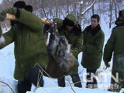 http://www.fjsenfa.cn/pics/default/download/0931f2ab38b0338215d2237cbc07569f.jpg