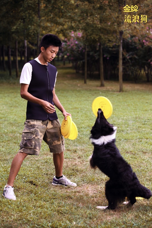 http://www.fjsenfa.cn/pics/default/download/09e419eb68929eede9117a2324c0783c.jpg