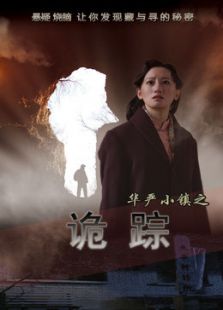 華嚴小鎮之一詭蹤