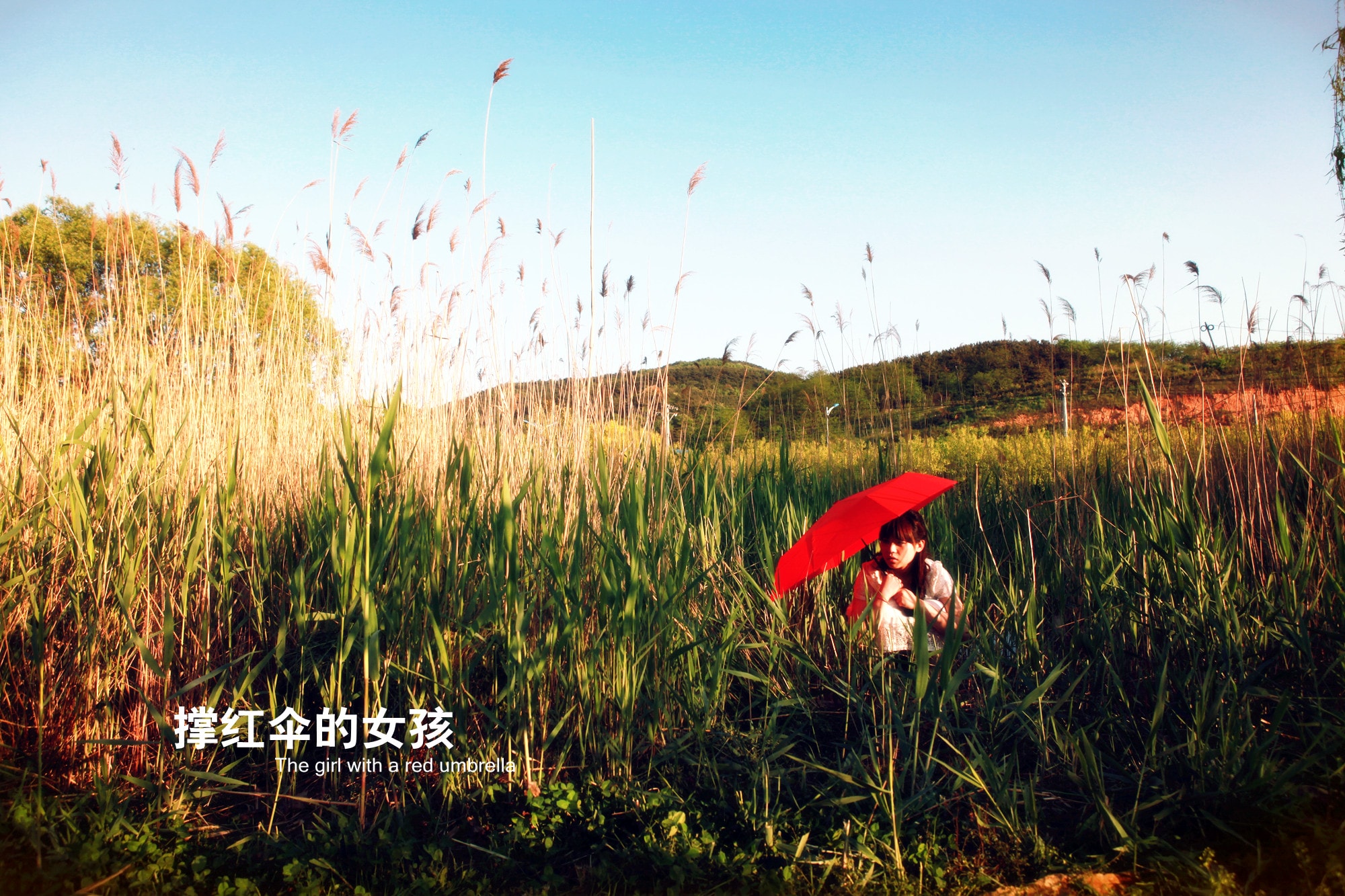 http://www.fjsenfa.cn/pics/default/download/0aacc8967cbe49388a4bd7dbcc05ad11.jpg