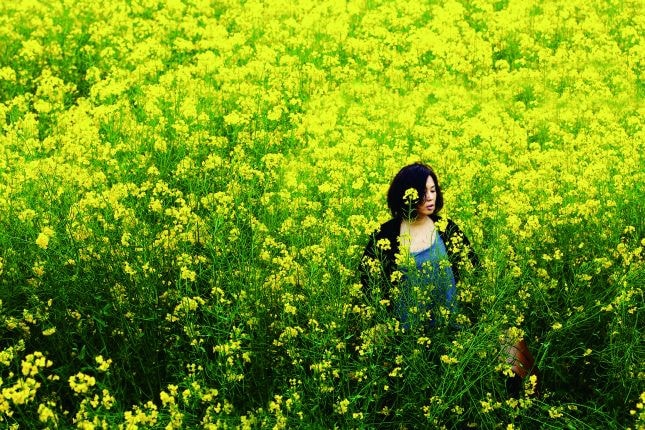 http://www.fjsenfa.cn/pics/default/download/0ac483d793e85fa4fdfe41001f01c254.jpg