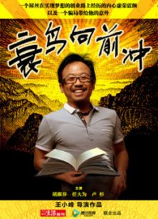 衰鳥(niǎo)向前沖
