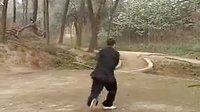 中華武術展示篇：器械套路之雙锏