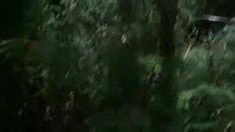 先行版預告片