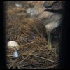 http://www.fjsenfa.cn/pics/default/download/0bc9301c0560a0a48ec6422653a9aaf4.jpg