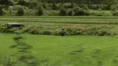 預告片