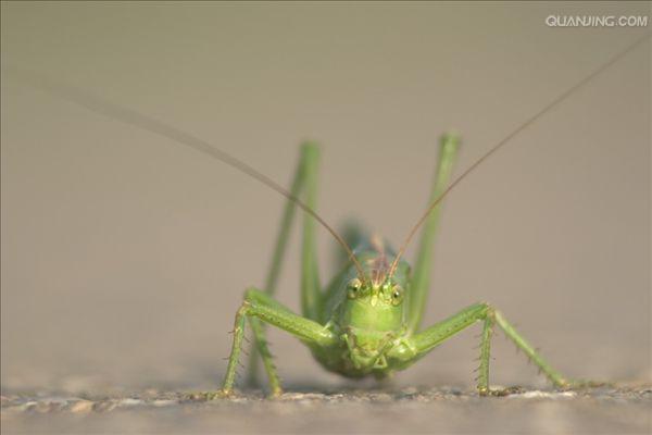 http://www.fjsenfa.cn/pics/default/download/0c7c32b5bd12e0cb915d7f0e12c2faf0.jpg