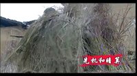 《瑤山飛狐》宣傳片