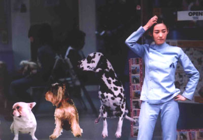 http://www.fjsenfa.cn/pics/default/download/0cf491da54fe0b62c87738040b5b03be.jpg