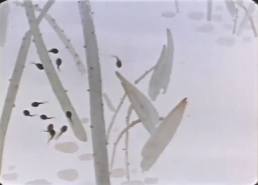 http://www.fjsenfa.cn/pics/default/download/0d4ed73bac66ec1eed9bfff62b5e37fd.jpg