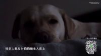 制片人帶著他的拉布拉多，告訴你，狗狗何時對你墜入愛河？
