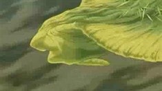 預告片
