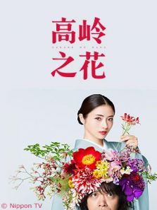高嶺之花