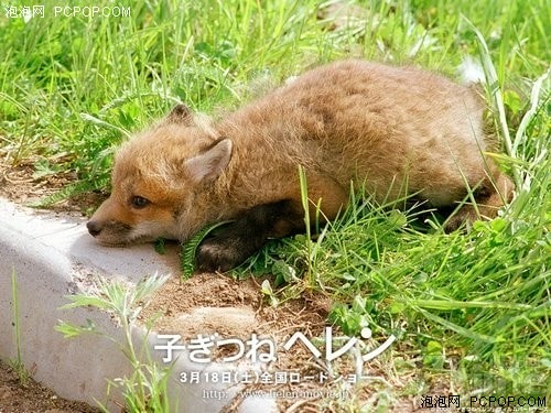 http://www.fjsenfa.cn/pics/default/download/0ed07c8e883d4703c13e6a42903b1710.jpg