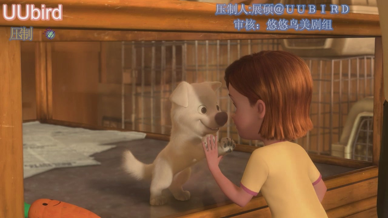 http://www.fjsenfa.cn/pics/default/download/0f6477f1a039c0eebe6e3947bea5978a.jpg
