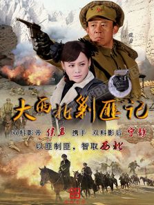 大西北剿匪記