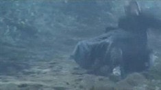 終極版預(yù)告片