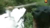 昆侖奴  第三次交手