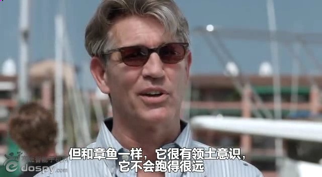 http://www.fjsenfa.cn/pics/default/download/10e89fe84a687e8123d9dd4a7530b562.jpg