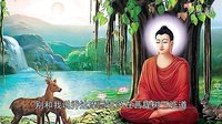 六石說書之西游局中局：4、大鬧天宮背后的驚天秘密