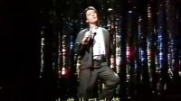 正當(dāng)紅時(shí)劉文正盼大家過(guò)《閃亮的日子》，但他不久便在歌壇消失