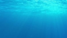 動態海報