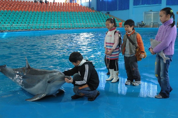 http://www.fjsenfa.cn/pics/default/download/136f2cc195c450ccffa8bf2ec66d3ae6.jpg