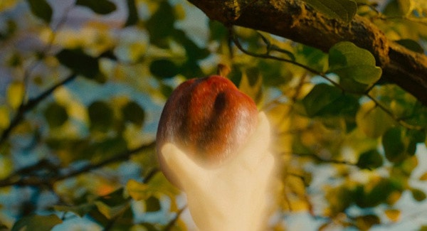 http://www.fjsenfa.cn/pics/default/download/1391043914f1f89c86b4b9c9cff595a1.jpg